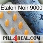 Étalon Noir 9000